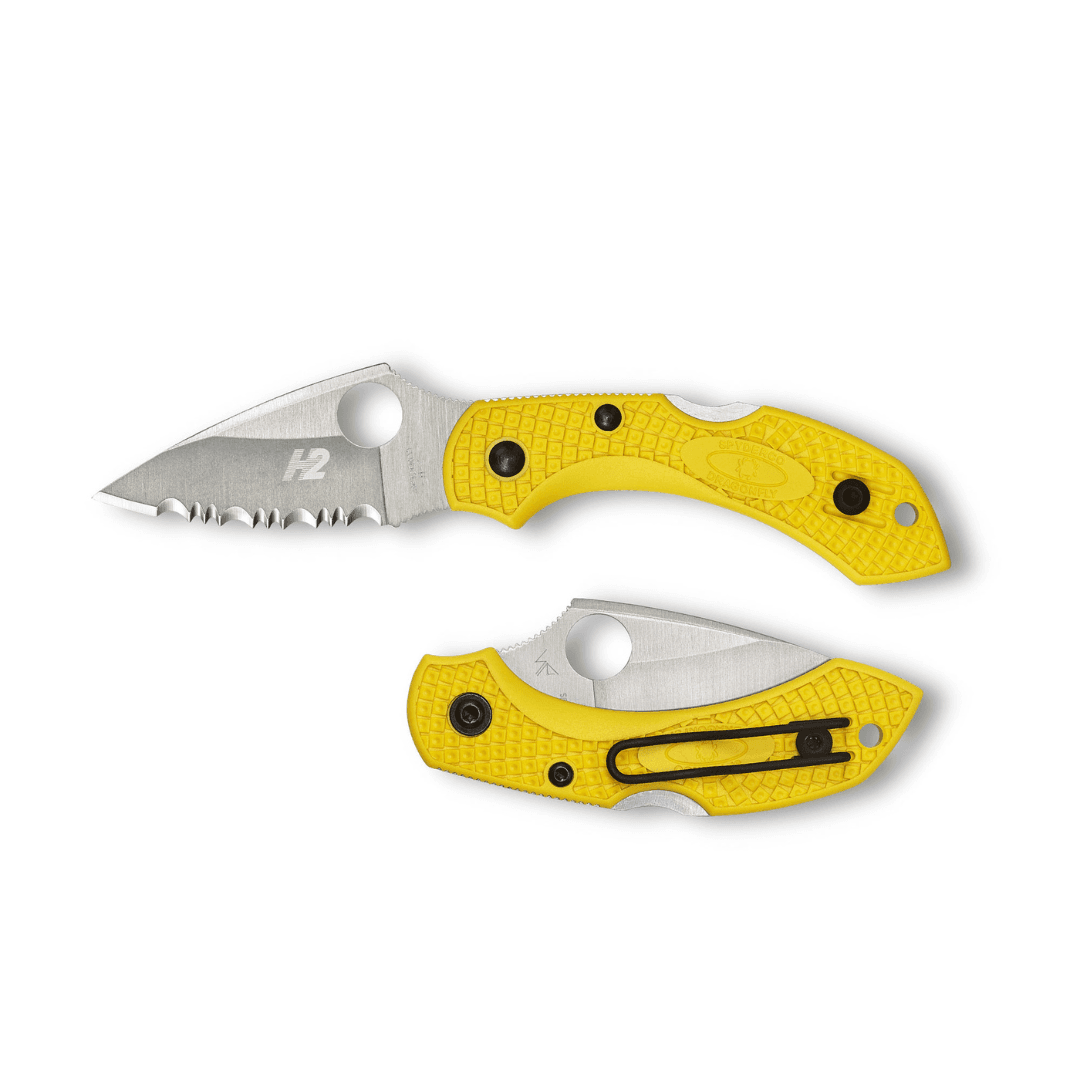 Spyderco Dragonfly 2 Salt