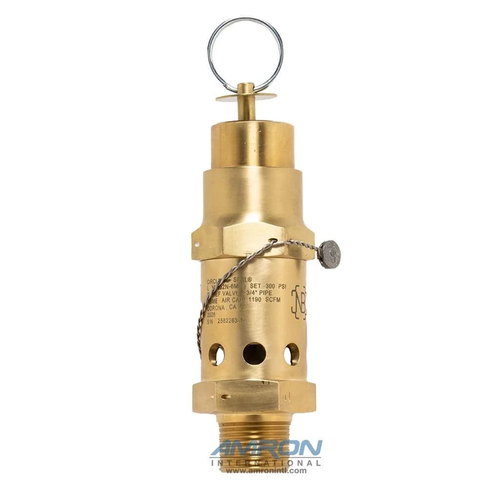 Relief Valve Circle Seal ASME Brass, 3/8 In. MNPT, 300 PSI
